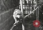 Image of Filipino industries 1930s and 1940s Philippines, 1940, second 20 stock footage video 65675062340