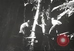 Image of Filipino industries 1930s and 1940s Philippines, 1940, second 42 stock footage video 65675062340