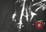 Image of Filipino industries 1930s and 1940s Philippines, 1940, second 43 stock footage video 65675062340