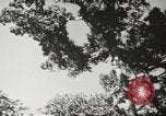Image of Filipino industries 1930s and 1940s Philippines, 1940, second 46 stock footage video 65675062340