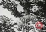 Image of Filipino industries 1930s and 1940s Philippines, 1940, second 47 stock footage video 65675062340