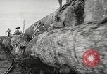 Image of Filipino industries 1930s and 1940s Philippines, 1940, second 61 stock footage video 65675062340