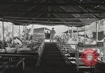 Standbild amerikanischen Kriegsgefangenen Philippinen, 1945, aus Sekunde 14 historischem Filmmaterial Videoclip 65675062342