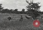 Immagine di Stati Uniti truppe Filippine, 1945, secondo 32 filmato di repertorio 65675062344