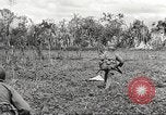 Immagine di Stati Uniti truppe Filippine, 1945, secondo 37 filmato di repertorio 65675062344