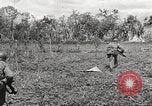 Immagine di Stati Uniti truppe Filippine, 1945, secondo 38 filmato di repertorio 65675062344