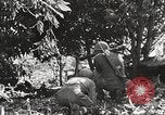 Immagine di Stati Uniti truppe Filippine, 1945, secondo 49 filmato di repertorio 65675062344