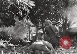 Immagine di Stati Uniti truppe Filippine, 1945, secondo 50 filmato di repertorio 65675062344