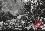 Immagine di Stati Uniti truppe Filippine, 1945, secondo 60 filmato di repertorio 65675062344