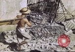 Immagine di Truppe alleate Intramuros Manila Filippine, 1945, secondo 16 filmato di repertorio 65675062345