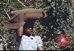 Immagine di Civili filippini Manila Filippine, 1945, secondo 56 filmato di repertorio 65675062348