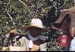 Immagine di Civili filippini Manila Filippine, 1945, secondo 57 filmato di repertorio 65675062348