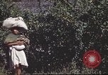 Immagine di Civili filippini Manila Filippine, 1945, secondo 50 filmato di repertorio 65675062349