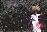 Immagine di Civili filippini Manila Filippine, 1945, secondo 55 filmato di repertorio 65675062349