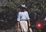 Immagine di Civili filippini Manila Filippine, 1945, secondo 61 filmato di repertorio 65675062349