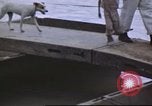 Image of Allied soldiers Philippines, 1945, second 45 stock footage video 65675062351