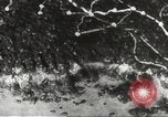 Image of Japanese positions Philippines, 1942, second 60 stock footage video 65675062352