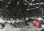 Image of Japanese positions Philippines, 1942, second 61 stock footage video 65675062352