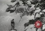 Immagine di Le truppe giapponesi Filippine, 1942, secondo 28 filmato di repertorio 65675062357