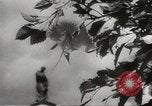 Immagine di Le truppe giapponesi Filippine, 1942, secondo 29 filmato di repertorio 65675062357