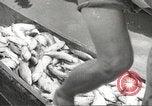 Immagine di Le truppe giapponesi Filippine, 1942, secondo 44 filmato di repertorio 65675062357