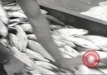 Immagine di Le truppe giapponesi Filippine, 1942, secondo 46 filmato di repertorio 65675062357