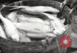 Immagine di Le truppe giapponesi Filippine, 1942, secondo 49 filmato di repertorio 65675062357