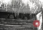 Image of Japanese troops during occupation Philippines, 1942, second 8 stock footage video 65675062358