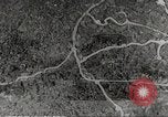 Standbild Japanische Streitkräfte inspiziert Philippinen, 1942, aus Sekunde 14 historischem Filmmaterial Videoclip 65675062359
