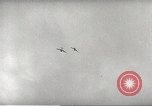 Standbild Japanische Flugzeuge auf den Philippinen Philippinen, 1942, aus Sekunde 38 historischem Filmmaterial Videoclip 65675062360