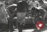 Image of Japanese air operations at Clark Field Philippines, 1942, second 4 stock footage video 65675062361