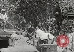 Image of Japanese air operations at Clark Field Philippines, 1942, second 18 stock footage video 65675062361