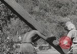 Image of Japanese air operations at Clark Field Philippines, 1942, second 19 stock footage video 65675062361