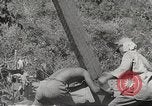 Image of Japanese air operations at Clark Field Philippines, 1942, second 20 stock footage video 65675062361