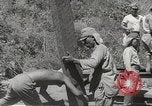 Image of Japanese air operations at Clark Field Philippines, 1942, second 21 stock footage video 65675062361