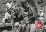 Image of Japanese air operations at Clark Field Philippines, 1942, second 25 stock footage video 65675062361