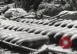 Image of Japanese air operations at Clark Field Philippines, 1942, second 48 stock footage video 65675062361