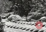 Image of Japanese air operations at Clark Field Philippines, 1942, second 50 stock footage video 65675062361