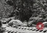Image of Japanese air operations at Clark Field Philippines, 1942, second 51 stock footage video 65675062361