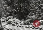 Image of Japanese air operations at Clark Field Philippines, 1942, second 52 stock footage video 65675062361