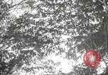 Image of Japanese soldiers in combat Philippines, 1942, second 13 stock footage video 65675062362