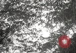 Image of Japanese soldiers in combat Philippines, 1942, second 14 stock footage video 65675062362