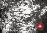 Image of Japanese soldiers in combat Philippines, 1942, second 15 stock footage video 65675062362