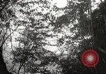 Image of Japanese soldiers in combat Philippines, 1942, second 16 stock footage video 65675062362