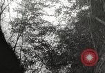 Image of Japanese soldiers in combat Philippines, 1942, second 17 stock footage video 65675062362