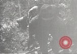 Image of Japanese soldiers in combat Philippines, 1942, second 26 stock footage video 65675062362