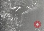 Image of Japanese soldiers in combat Philippines, 1942, second 28 stock footage video 65675062362