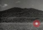 Image of Japanese soldiers in combat Philippines, 1942, second 36 stock footage video 65675062362