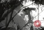 Image of Japanese soldiers in combat Philippines, 1942, second 37 stock footage video 65675062362