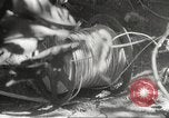 Image of Japanese soldiers in combat Philippines, 1942, second 41 stock footage video 65675062362